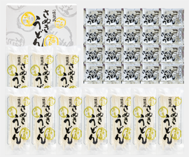 半生さぬきうどん めん300g×10 つゆ×20袋